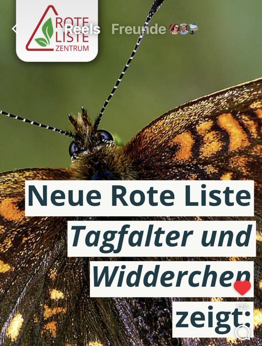 NorwaySkandin's tweet photo. #Natur #Garten #Insekten #insects #Umwelt
Neue Rote Liste
#Tagfalter und #Widderchen zeigt:
#Schmetterlinge in Deutschland sind unehmend gefährdet.
Schmetterlinge in Deutschland weiter unter Druck ...
Quelle: Rote Liste Zentrum auf Instagram. https://t.co/lQnLUYsKav