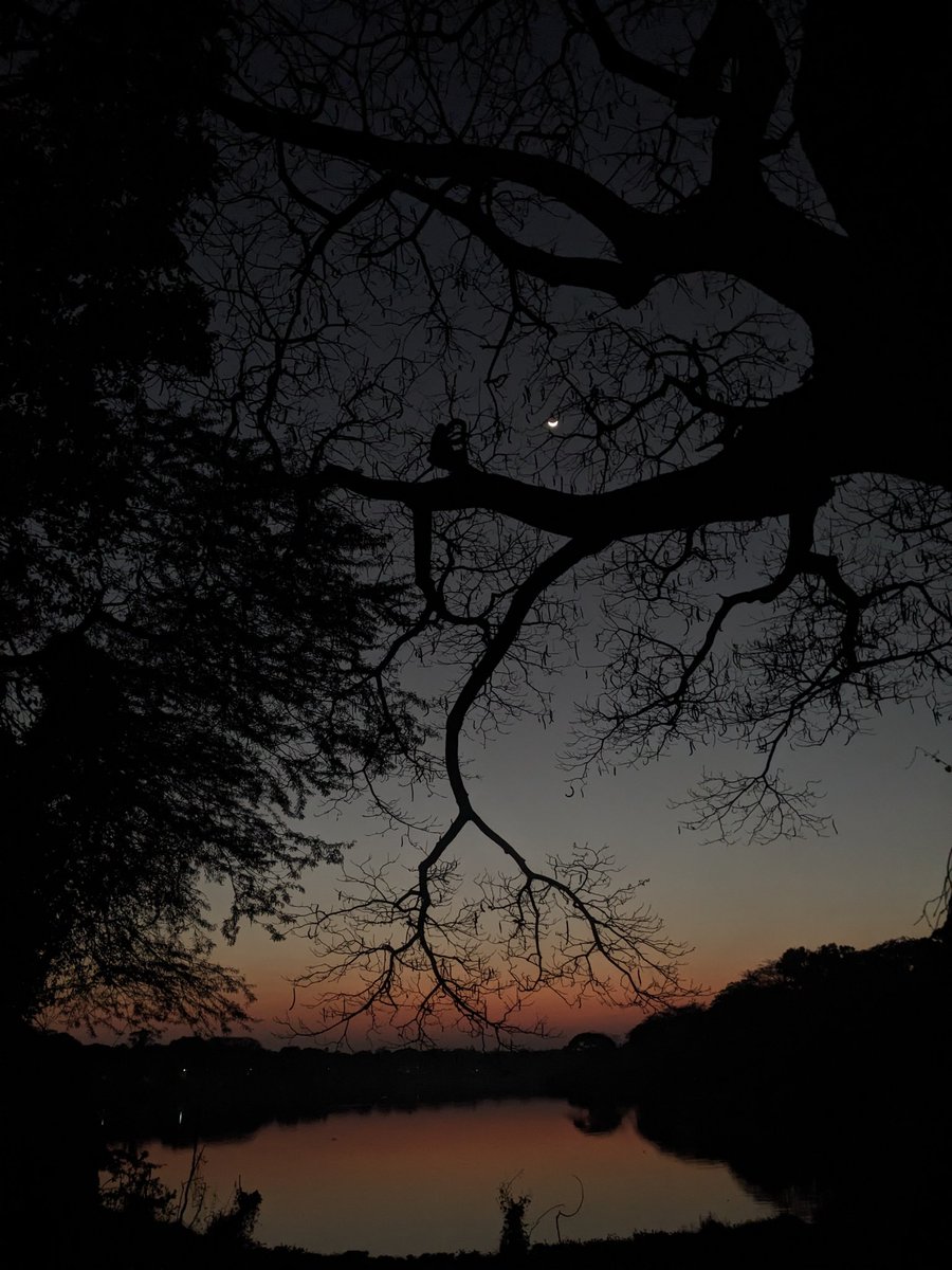 the avinasha tweet media