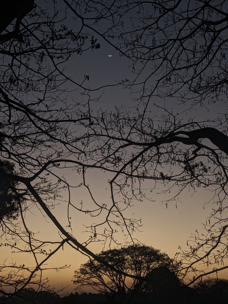 the avinasha tweet media