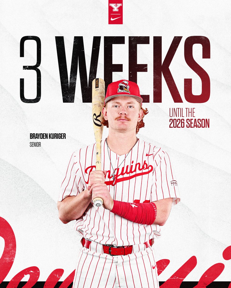 YSU Baseball 🐧 tweet media