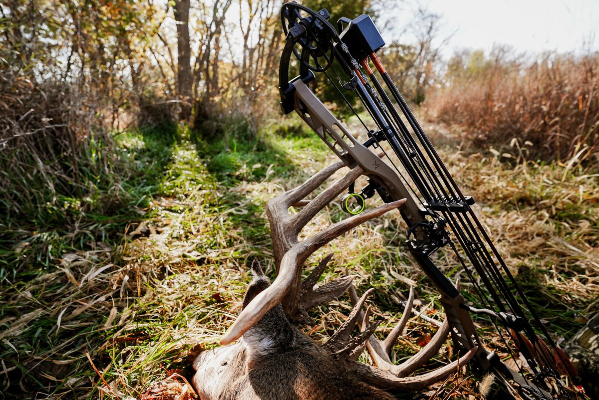 Xpedition Archery tweet media