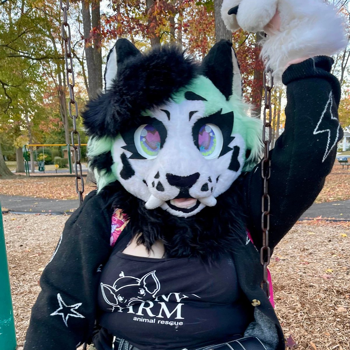 🕸Metro_Mutt🕸 tweet media