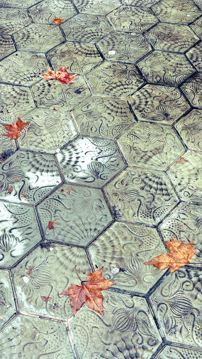 Albert Ramos Catalán 🎯 Business Developer tweet media