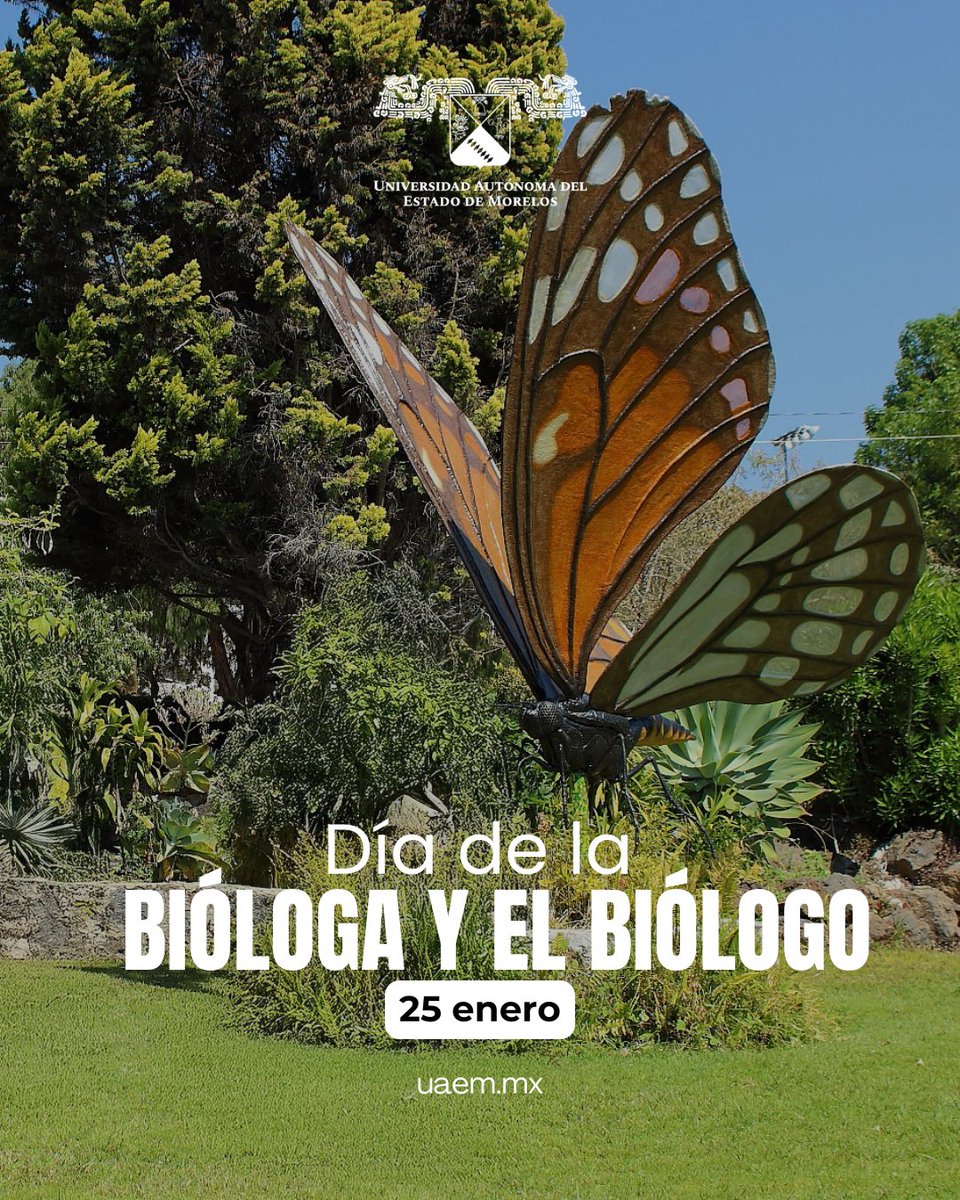 uaemorelos's tweet photo. 🧬🌿 En el Día de la Bióloga y el Biólogo, la UAEM reconoce la labor de quienes, a través de la ciencia, contribuyen al estudio, conservación y protección de la biodiversidad, así como al cuidado del medio ambiente y el desarrollo sostenible.

#UAEM #DíaDelBiólogo #Ciencia https://t.co/T1LwC36Mmx