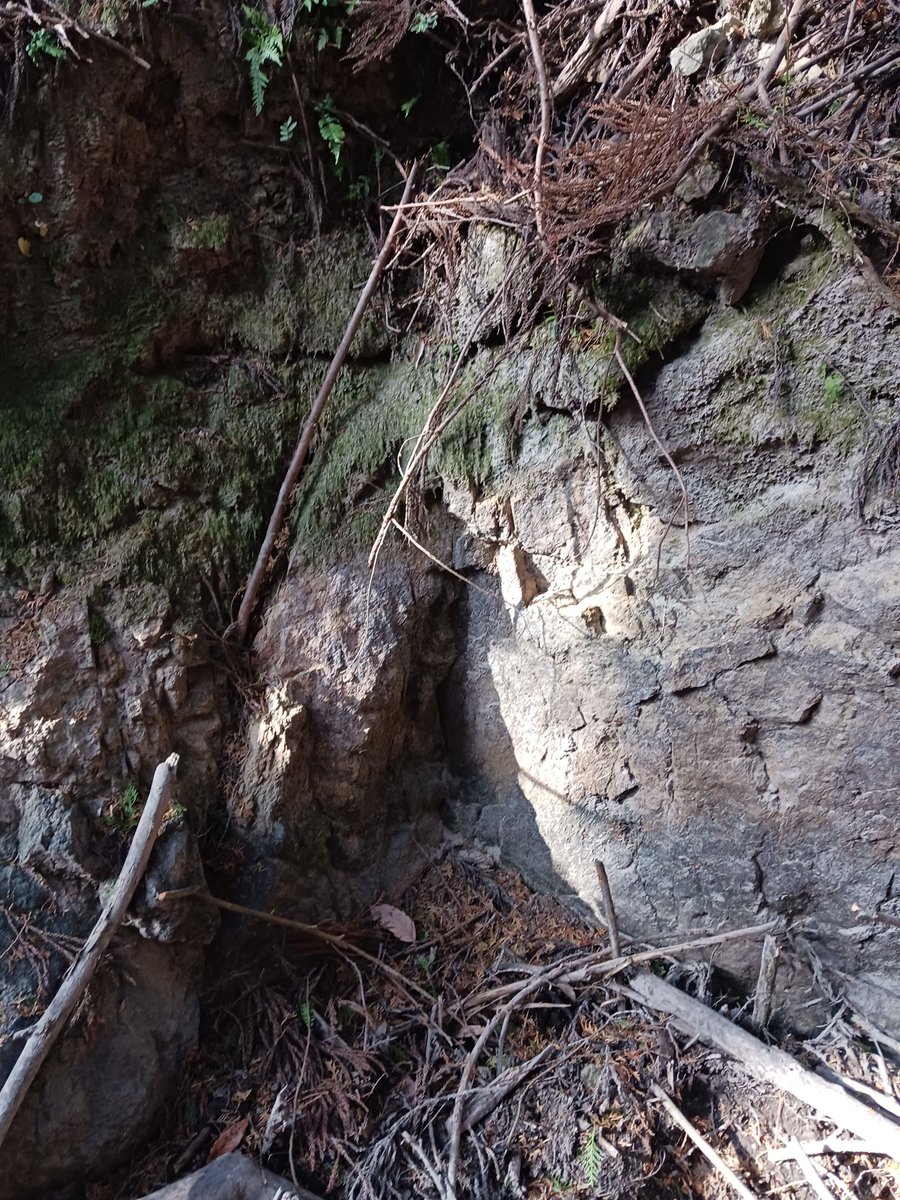 _enkohearts_'s tweet photo. 南条山城井戸跡⛰️

岩掘ってる⛏️
以前来た時は水在ったなぁ💧

1段上にも井戸在るけど、今回は見ず💧

#姫路市夢前町宮置 https://t.co/8ORJZl03HA