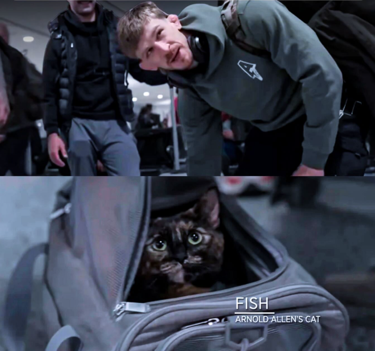 dame margera tweet media