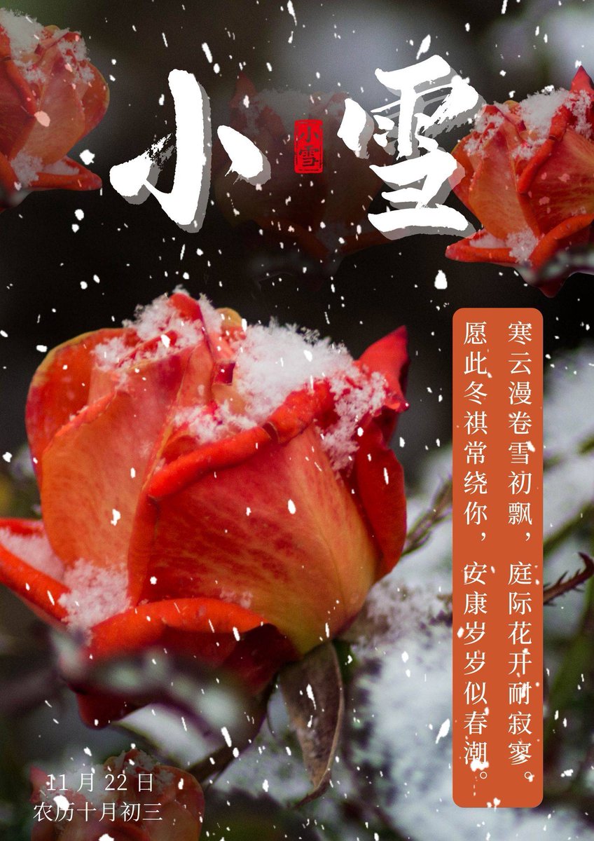 sathale1996's tweet photo. 今天的风裹着桂香撞进怀里，抬头撞见满树金黄的月亮，脚步都慢了半拍～ https://t.co/0MF9ZmevLW