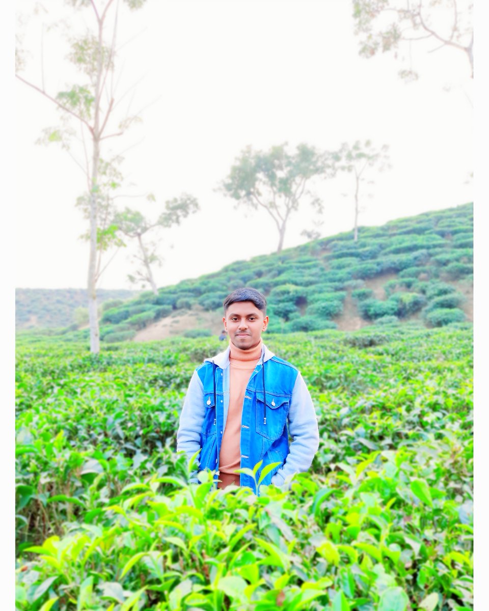 arhan_rafi's tweet photo. - Breathing peace, one green moment at a time 🌱

#arhanrafi #arhan_rafi #rafi https://t.co/jYaqgfoZxg
