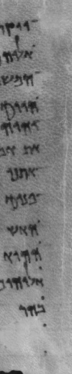 aferguson682's tweet photo. Guide dots ensure straight lines on ancient Hebrew manuscripts. Very important feature for a scribe to produce a neat text for us to read 2000 years later! https://t.co/qLZZpBhleV