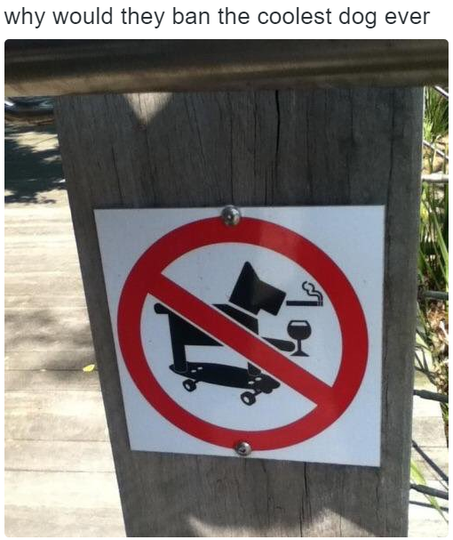 StephenESachs's tweet photo. This image should be in every Statutory Interpretation casebook. https://t.co/wOpw7LZTm7