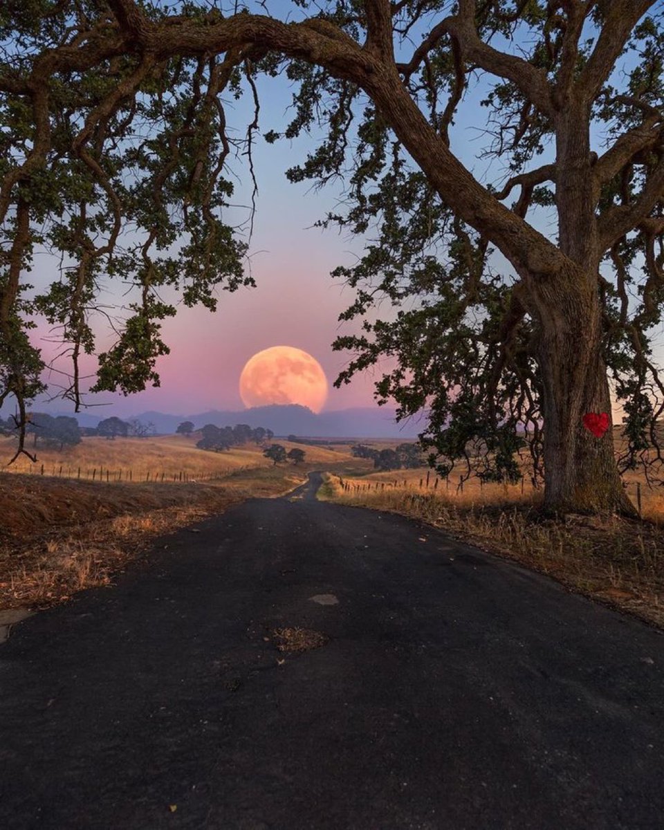 M1ONLOVER's tweet photo. Moonrise https://t.co/xRS4zZ7AXu