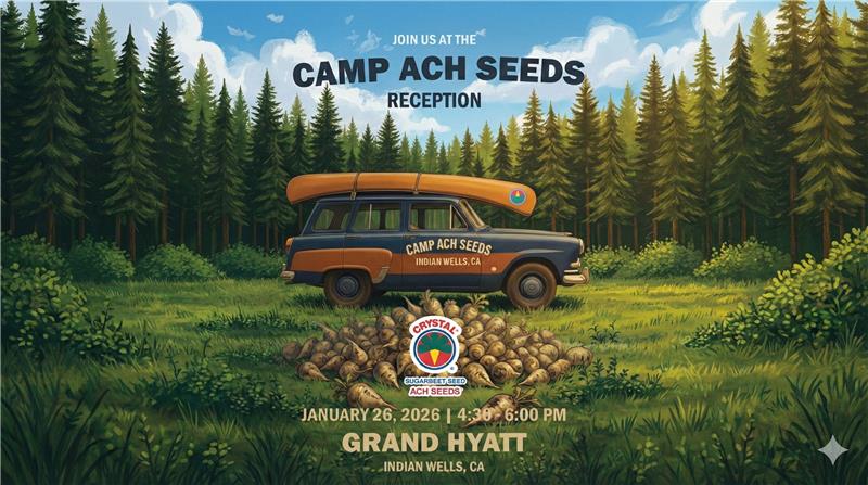 Crystal Beet Seed_ACH Seeds tweet media