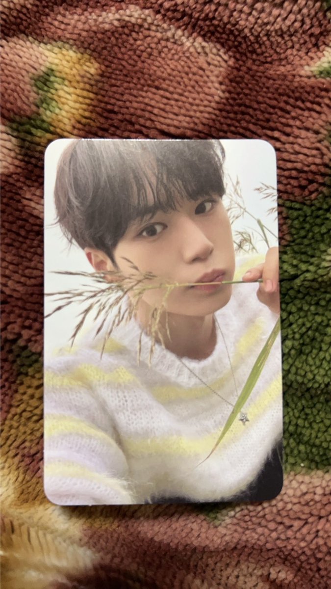 ♡彡 tweet media