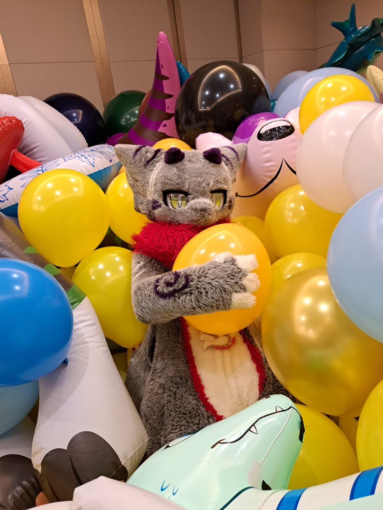 Sanu Keçisy ➡️ 関西けもケット tweet media