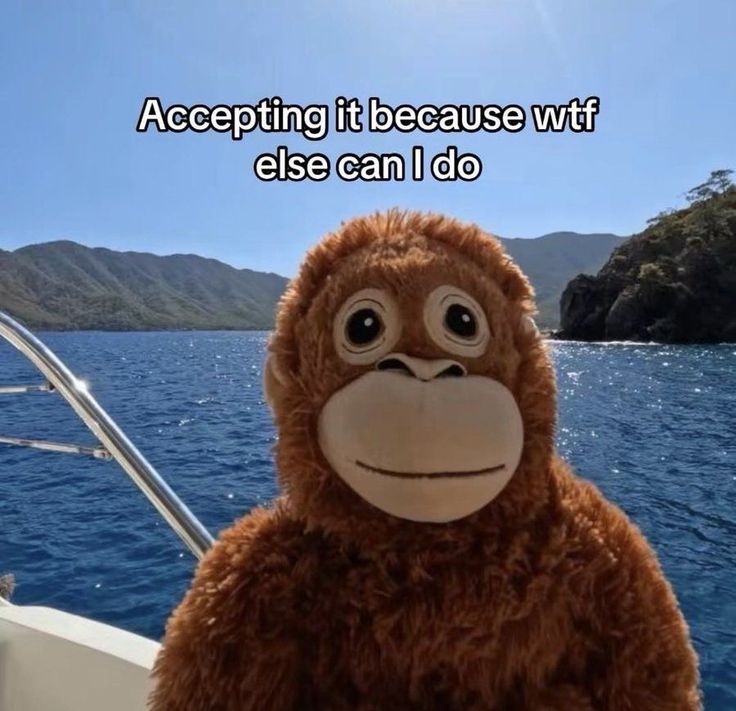 Плачу щомісяця за жек чи як воно зараз правильно називається щоб двірники просто відгородили вхід до мого під'їзду червоною стрічкою замість відчистити чи хоча б посипати лід дуже помогло мега слей