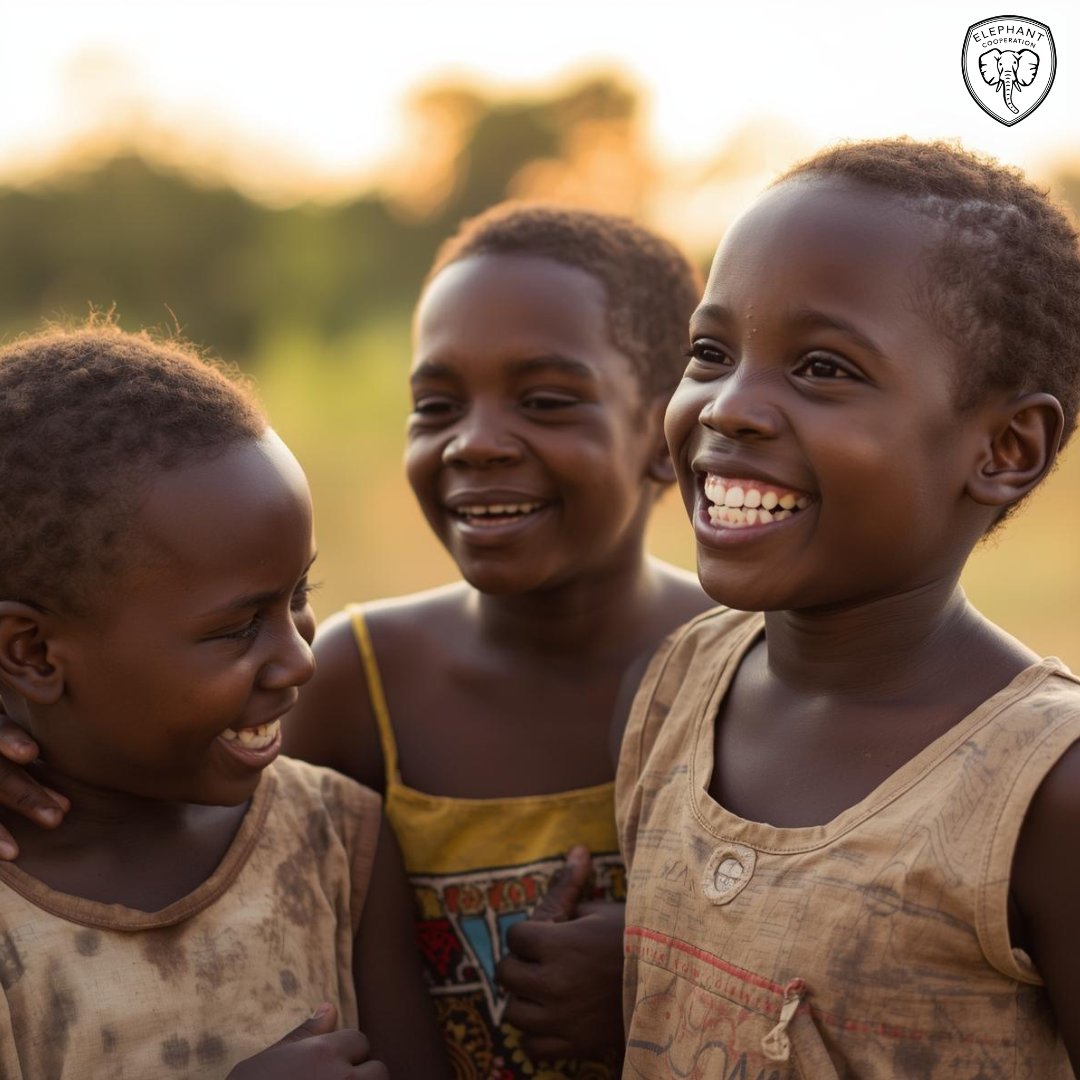 Elephant Cooperation tweet media