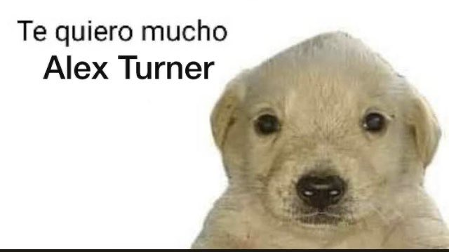 Simon M. tweet media