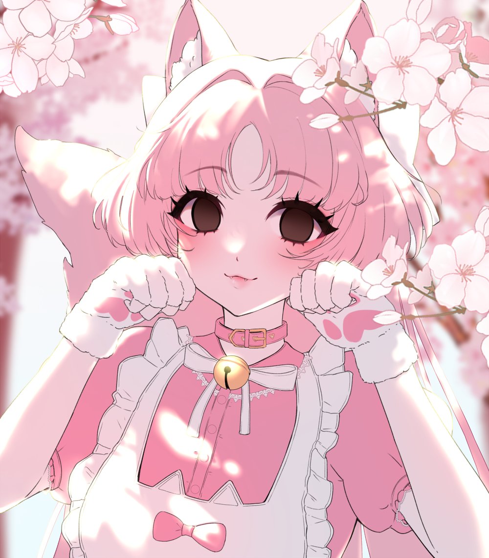 Eloru 🌿 tweet media