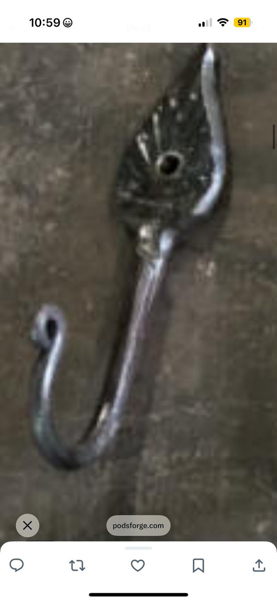 nicole ruiz tweet media