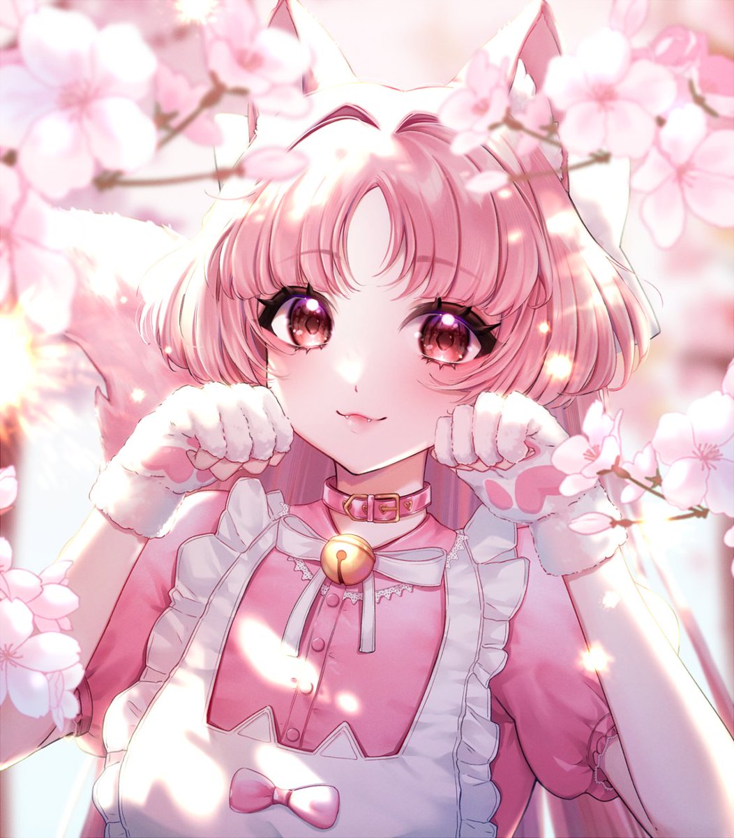 Eloru 🌿 tweet media