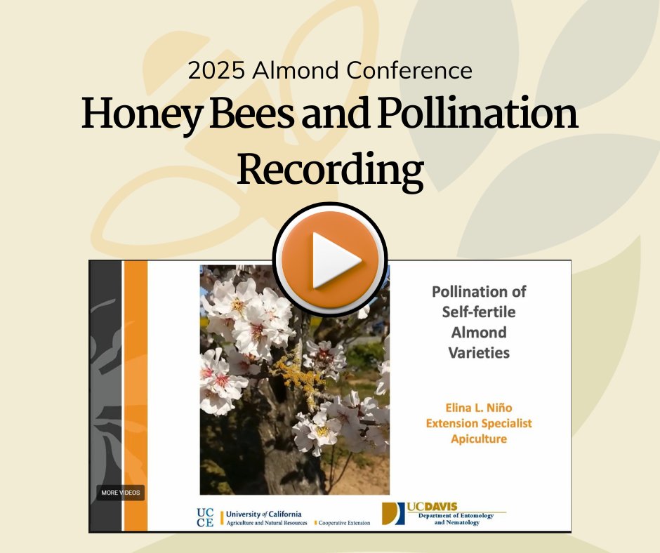 Project Apis m. tweet media