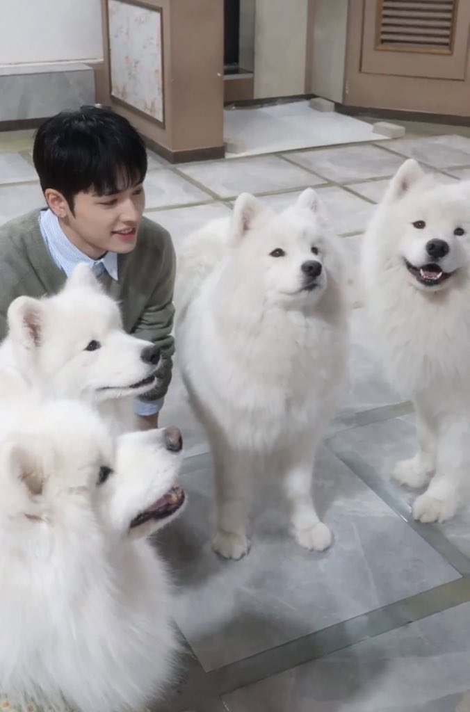 ridethegeonie's tweet image. 아니 다시봐도 웃기네 
강아지들과 즐거운 시간~ 이 아니라
저강아지되러왔습니다.