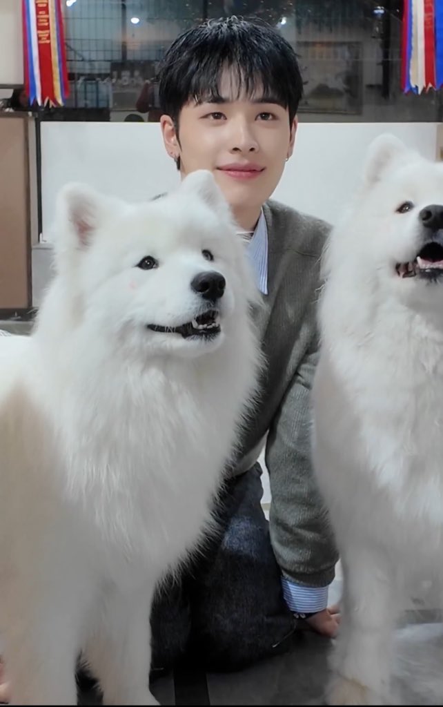 ridethegeonie's tweet image. 아니 다시봐도 웃기네 
강아지들과 즐거운 시간~ 이 아니라
저강아지되러왔습니다.