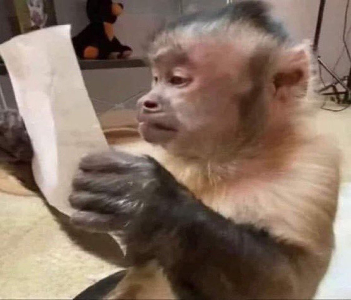 Black Stiches reading Ground up demma contract before he sign