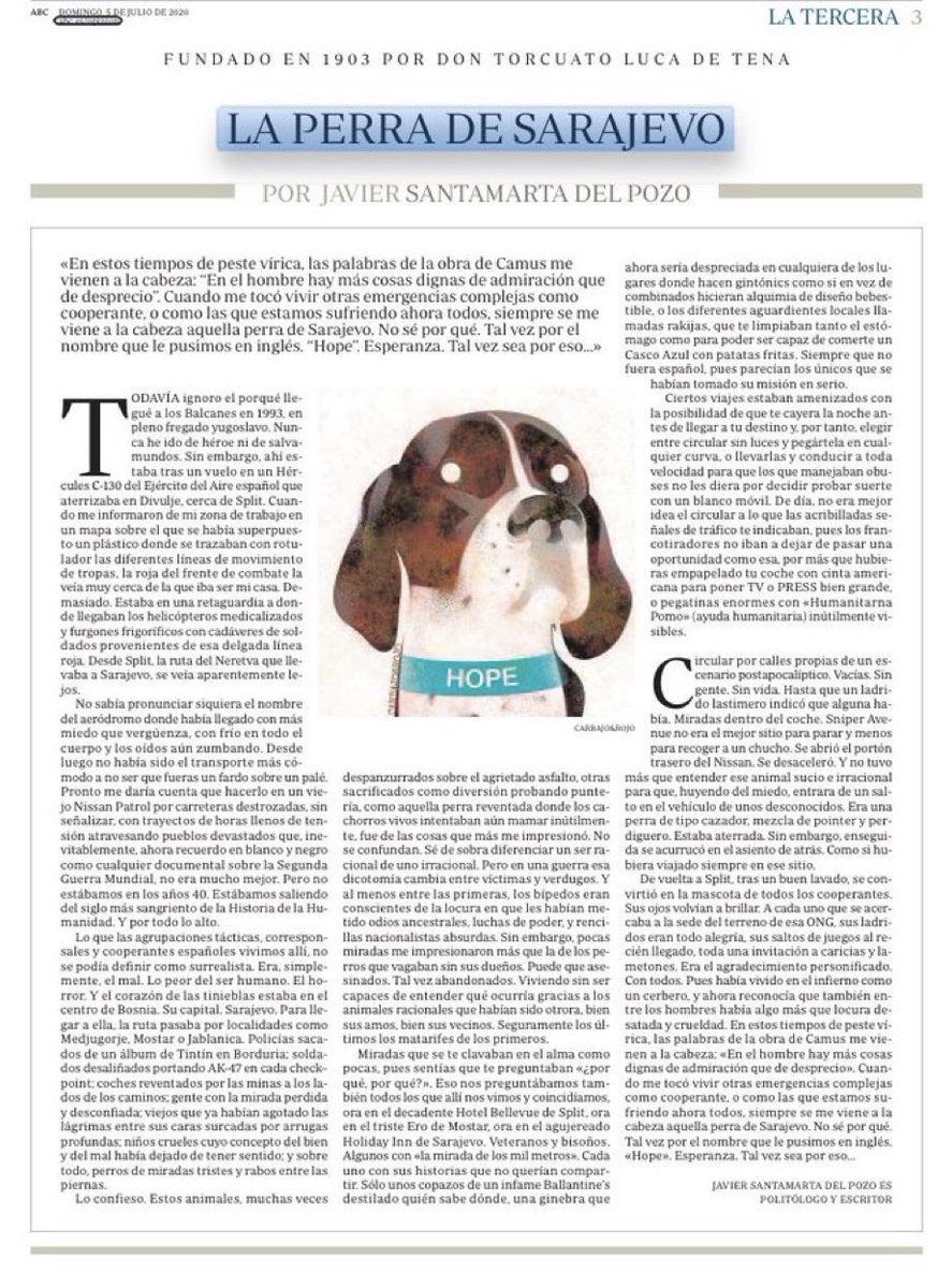 JaviSantamarta's tweet photo. Nunca entenderé la gente que solamente es capaz de pensar en términos duales: si te preocupas por un perro, como ha sido el caso de #Boro tras el desastre del Alvia, entonces dejas de preocuparte por las víctimas.

Para todos os cuento quién fue LA PERRA DE SARAJEVO

Por ti, Boro https://t.co/ye5z3KaBi7