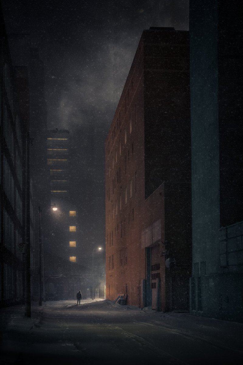 mindzeye's tweet image. The Long Way Home- Toronto 2024