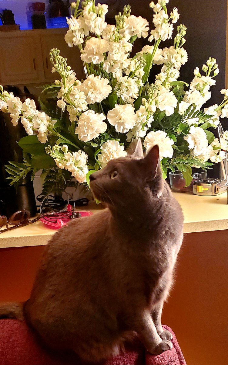 Lulú informs mommy she's a looker and prettier than the flowers