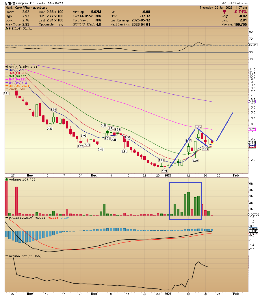 ACInvestorBlog's tweet photo. $GNPX flagging nicely here... the break of this flag could be explosive imho https://t.co/rni0sUyN7q