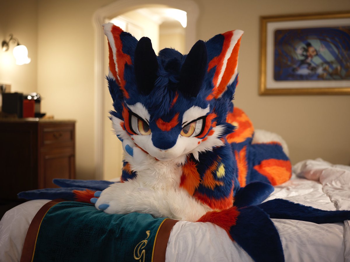 破晓 Allaub tweet media