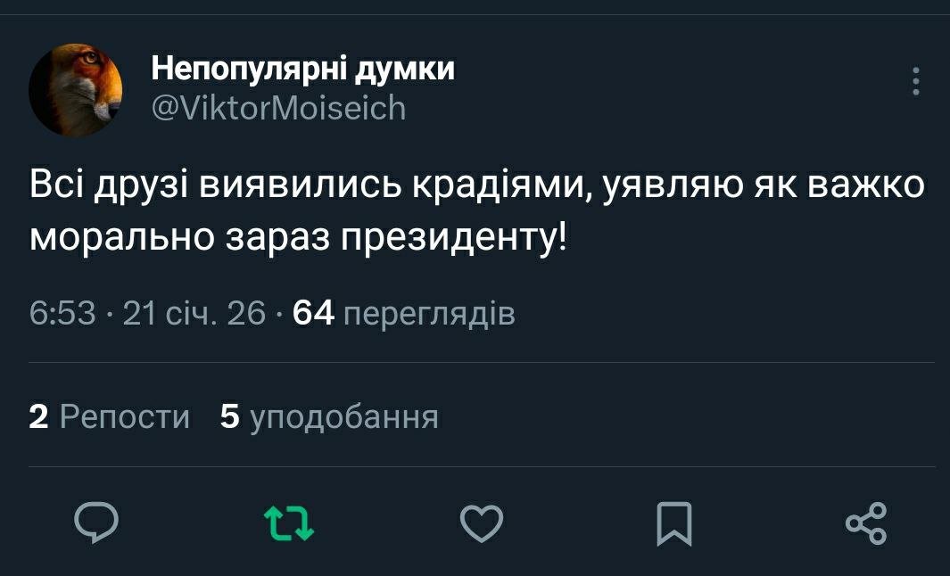 Баба і кіт tweet media