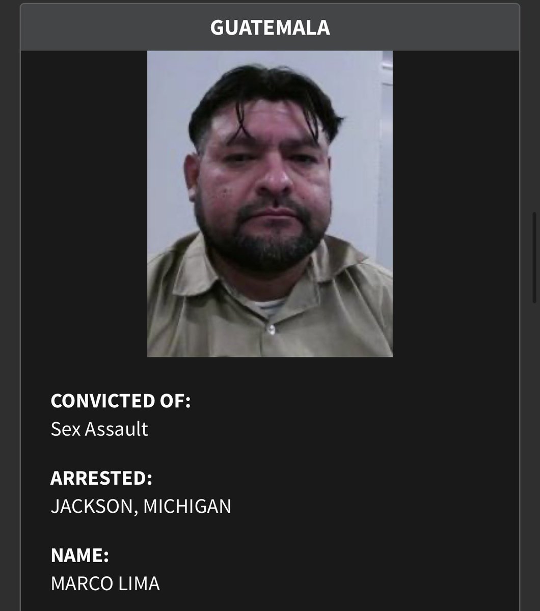 SenAricNesbitt's tweet image. This is just a handful of the rapists, child predators, killers, and drug dealers that ICE has removed from Michigan.

These are the people Democrats are fighting to keep in our state.