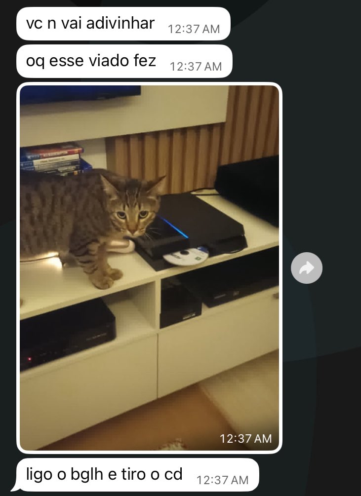 hellphoric's tweet image. fui no banheiro por 5 minutos ontem de noite