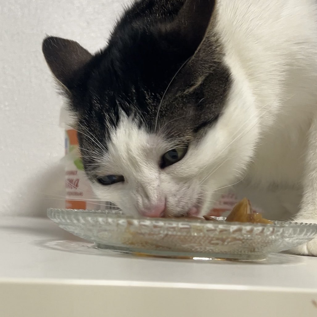 Crunchycat Luna tweet media