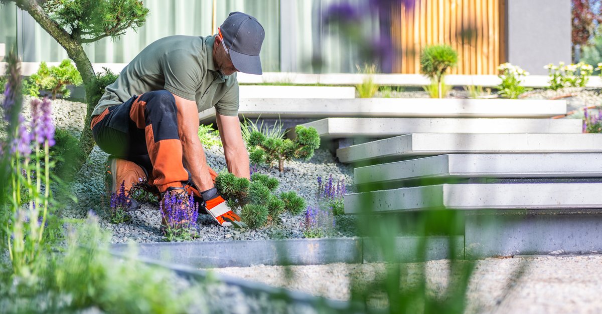 Vya, Inc. tweet media