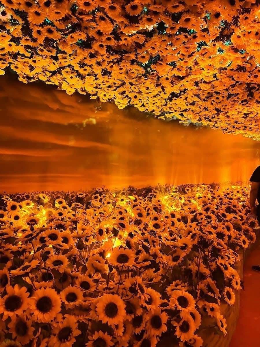 sunflowerchives's tweet image. Van Gogh art museum🌻