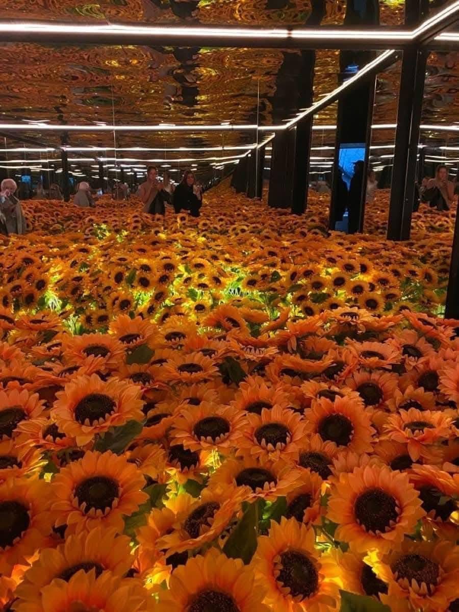 sunflowerchives's tweet image. Van Gogh art museum🌻