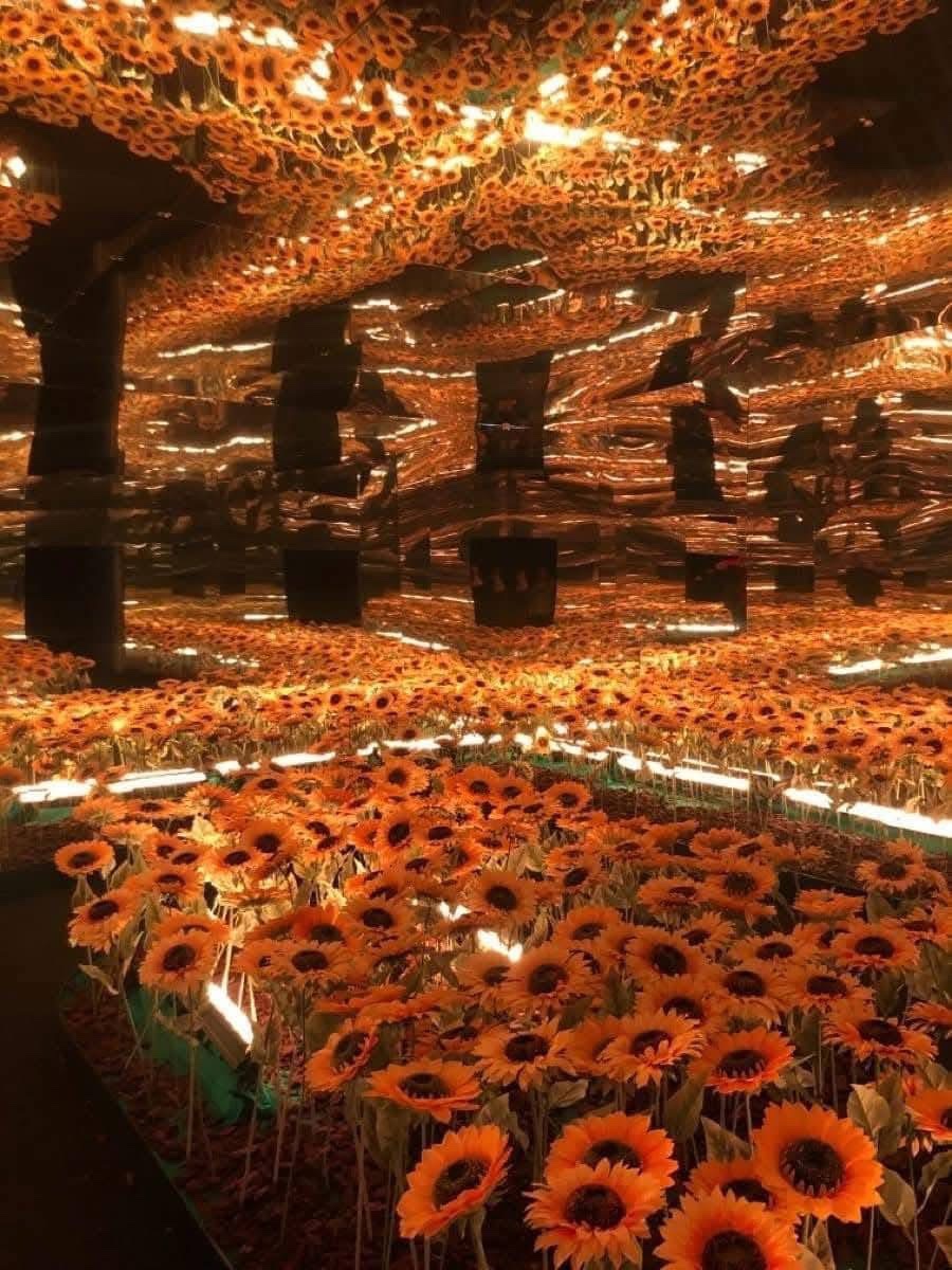 sunflowerchives's tweet image. Van Gogh art museum🌻