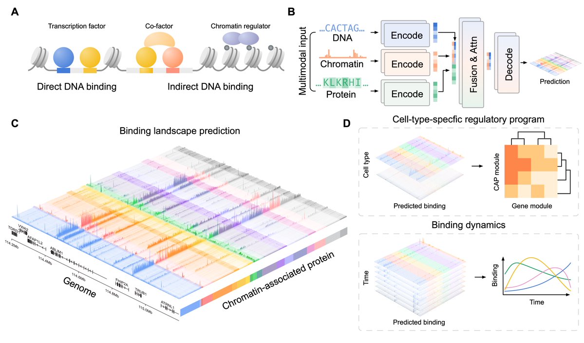 Jimin Tan tweet media