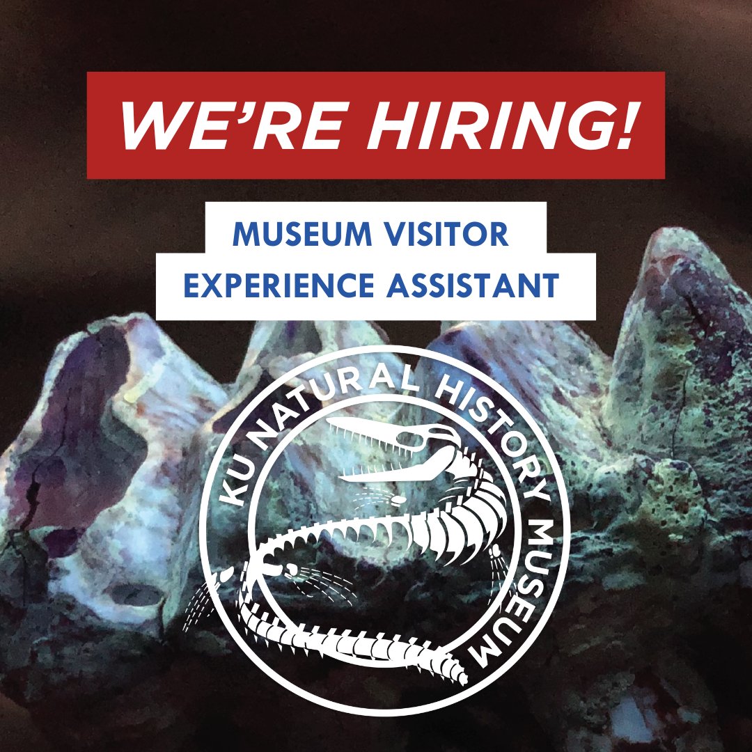 KU Natural History Museum tweet media