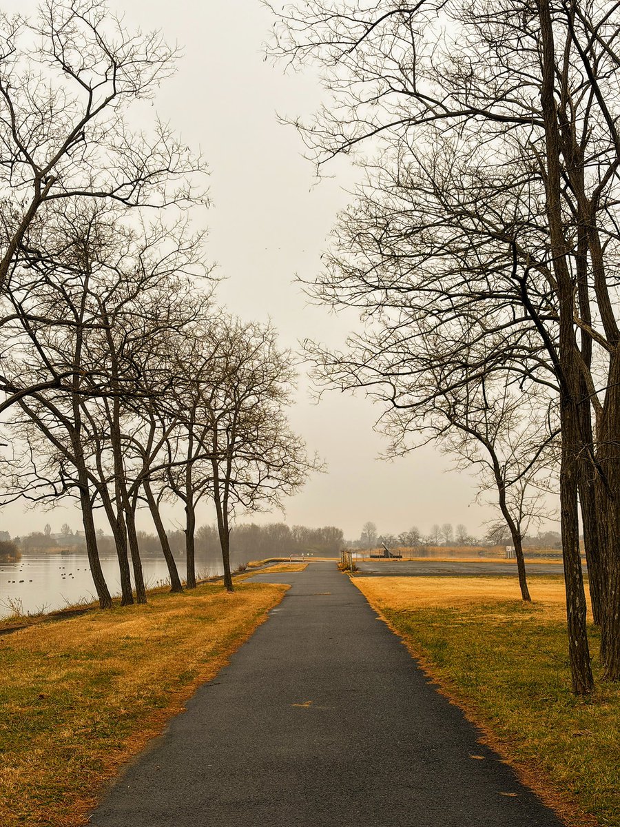 皆様 本日もお疲れ様でした😌

引き続き【通報】をしてくれた皆様ありがとうございます🙇‍♀️

今後とも宜しくお願い致します🙏🙇‍♀️

明日良い日になぁれ
     (∩^o^)⊃━🪄💫🌈☆ﾟ.*･｡

(*˘︶˘*)ｵﾔｽﾐﾅｻｲ.｡.:*

 #美しい風景