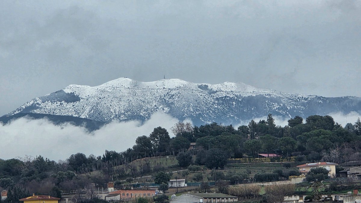 jordirodoreda3's tweet photo. El Massís del Montseny aquest migdia de dijous 22 de gener 2026. https://t.co/y8w4NHeIeE