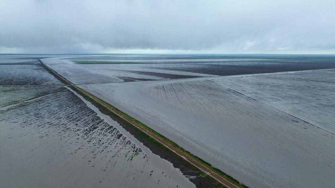 🇧🇼🌪️Tjampupudzi🌪️🇧🇼 tweet media