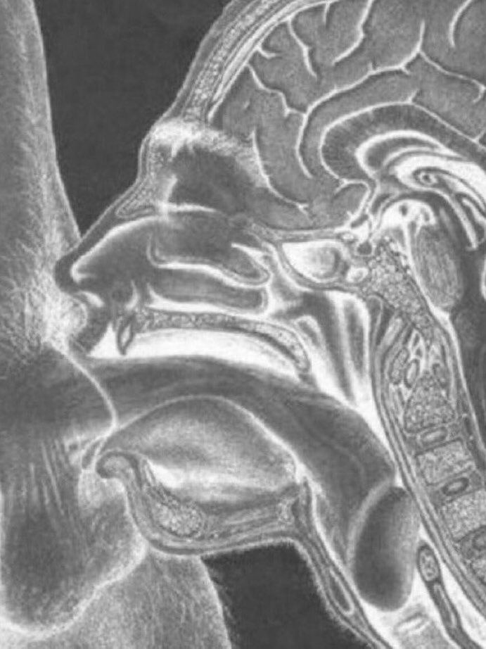 HunanTop's tweet image. 想和你玩深喉宝宝