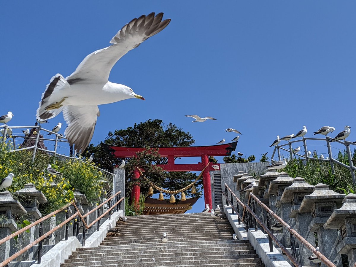 t0zMGKsFwH94765's tweet image. #魅力のある青を見せてください見た人全員強制
手前味噌ながら、撮影は私です