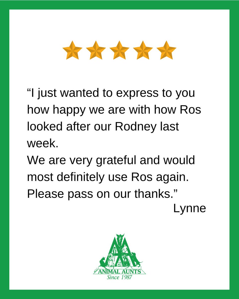 Animal Aunts tweet media