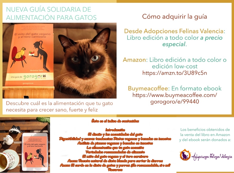 Adopciones Felinas VLC tweet media